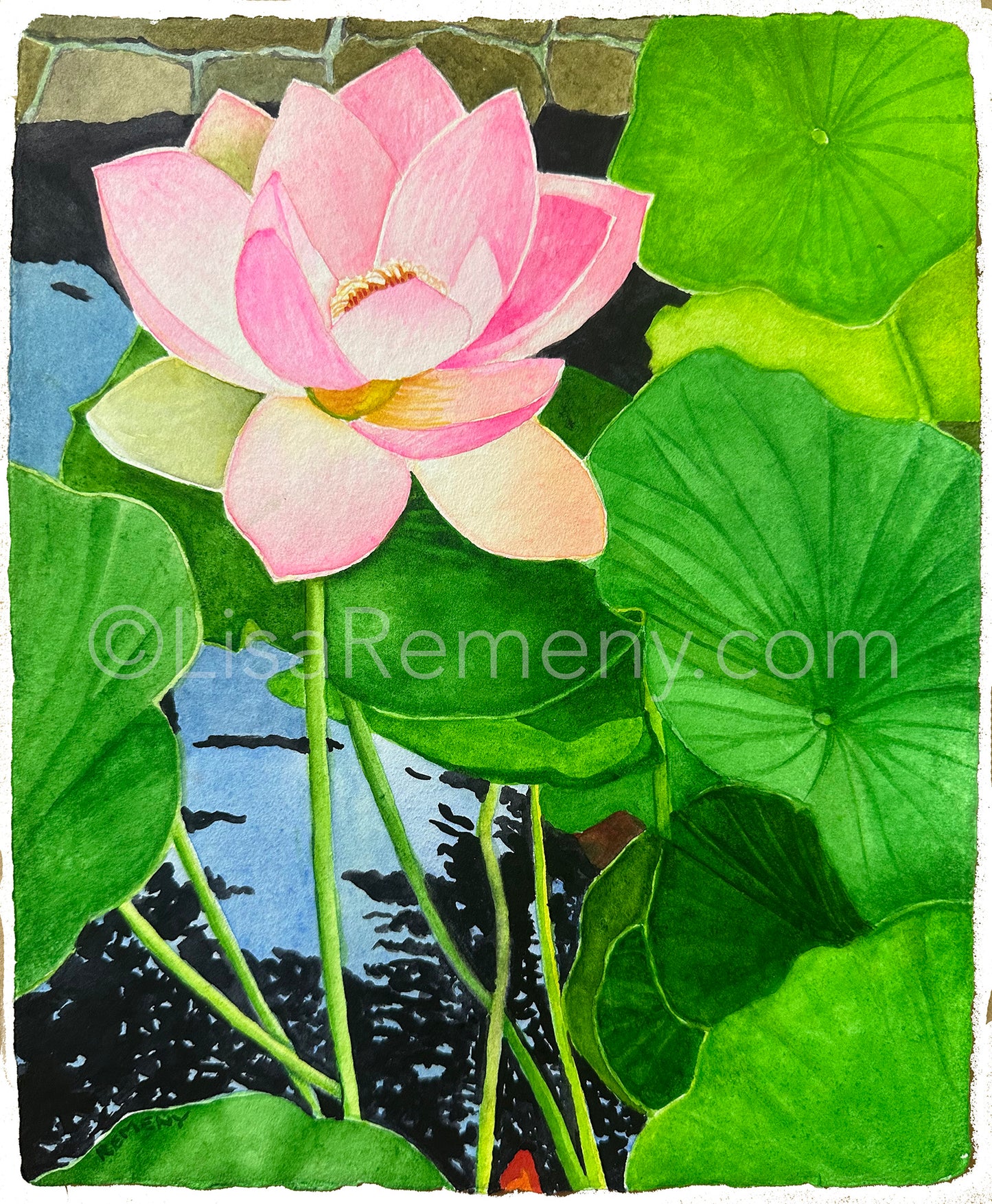 Watercolor on Paper - Lotus Pond