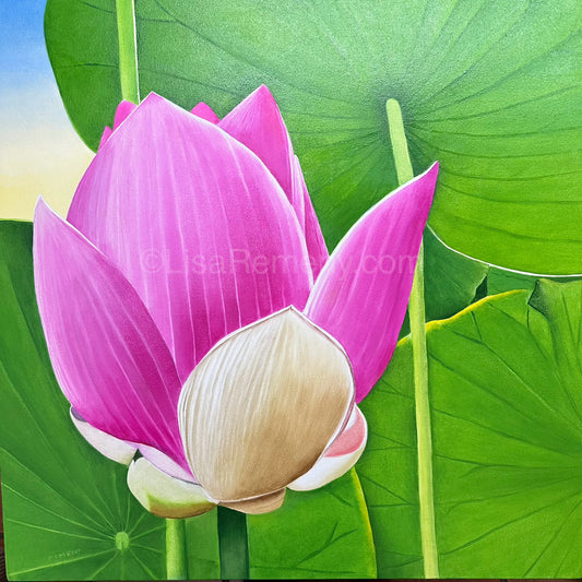 Oil Painting - Sacred Lotus