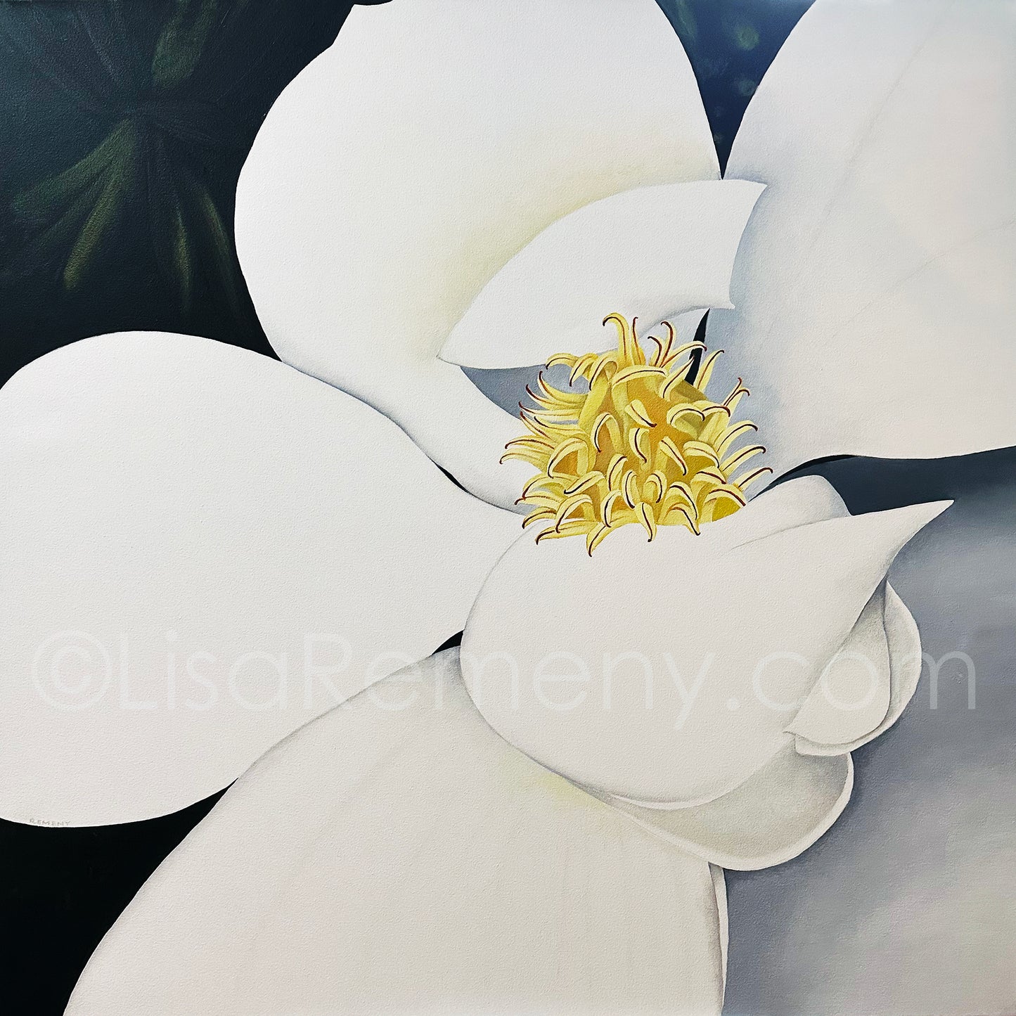 Oil Painting -Sweetest Magnolia
