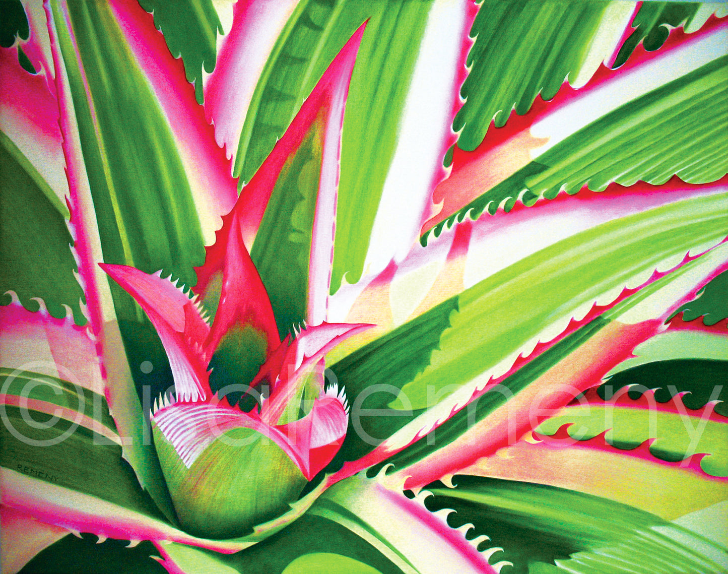 Giclée - Red Pine