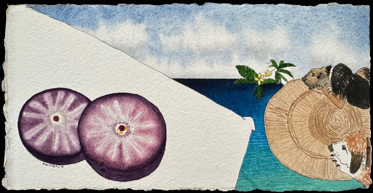 Watercolor & Ink on Paper - Julius and with Brutus at home with Starapples