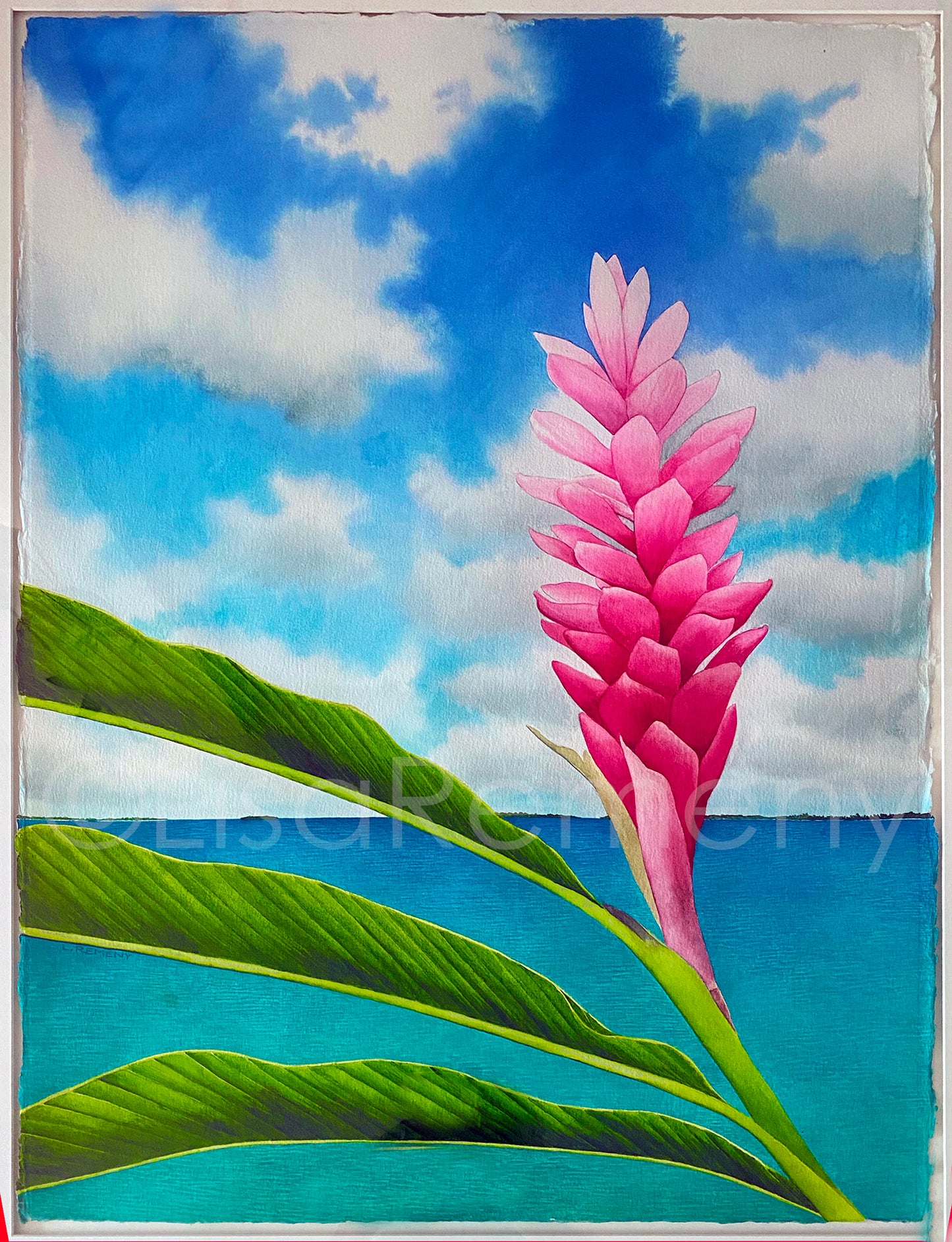 Archive Watercolor on Paper - Pink Ginger Lily