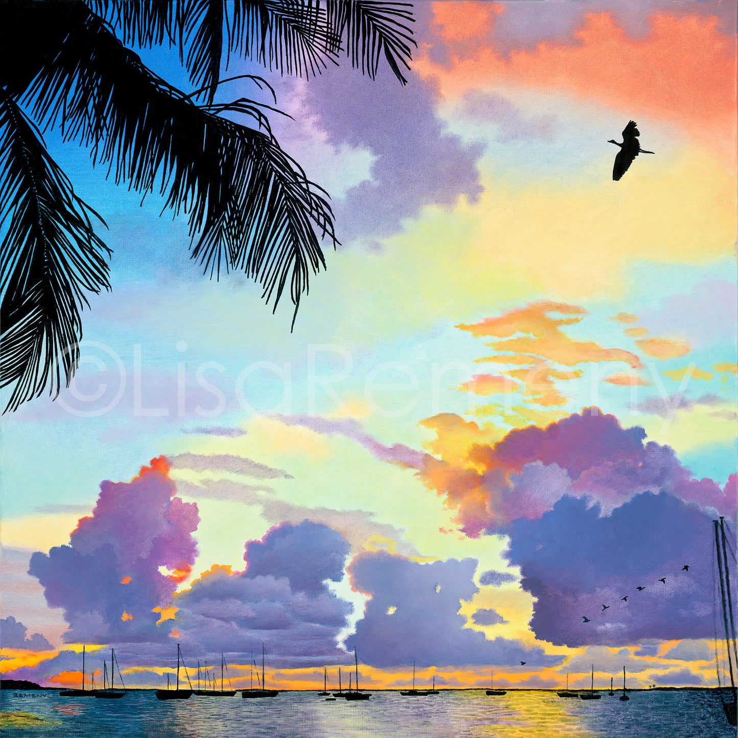 Giclée - Anhinga Morning