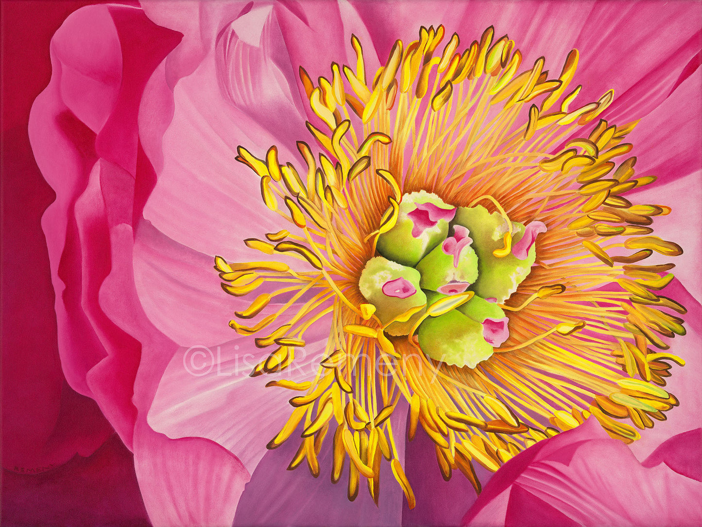 Giclée - Big Pink Peony (Sister From Another Planet)