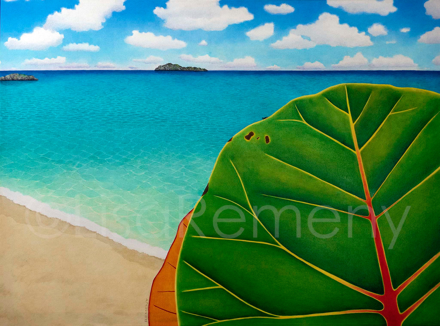 Giclée - Grapeleaves by the Bay