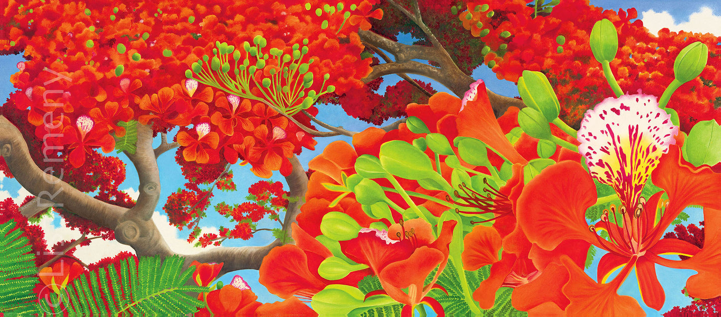 Commission 2007 - Under the Flamboyant