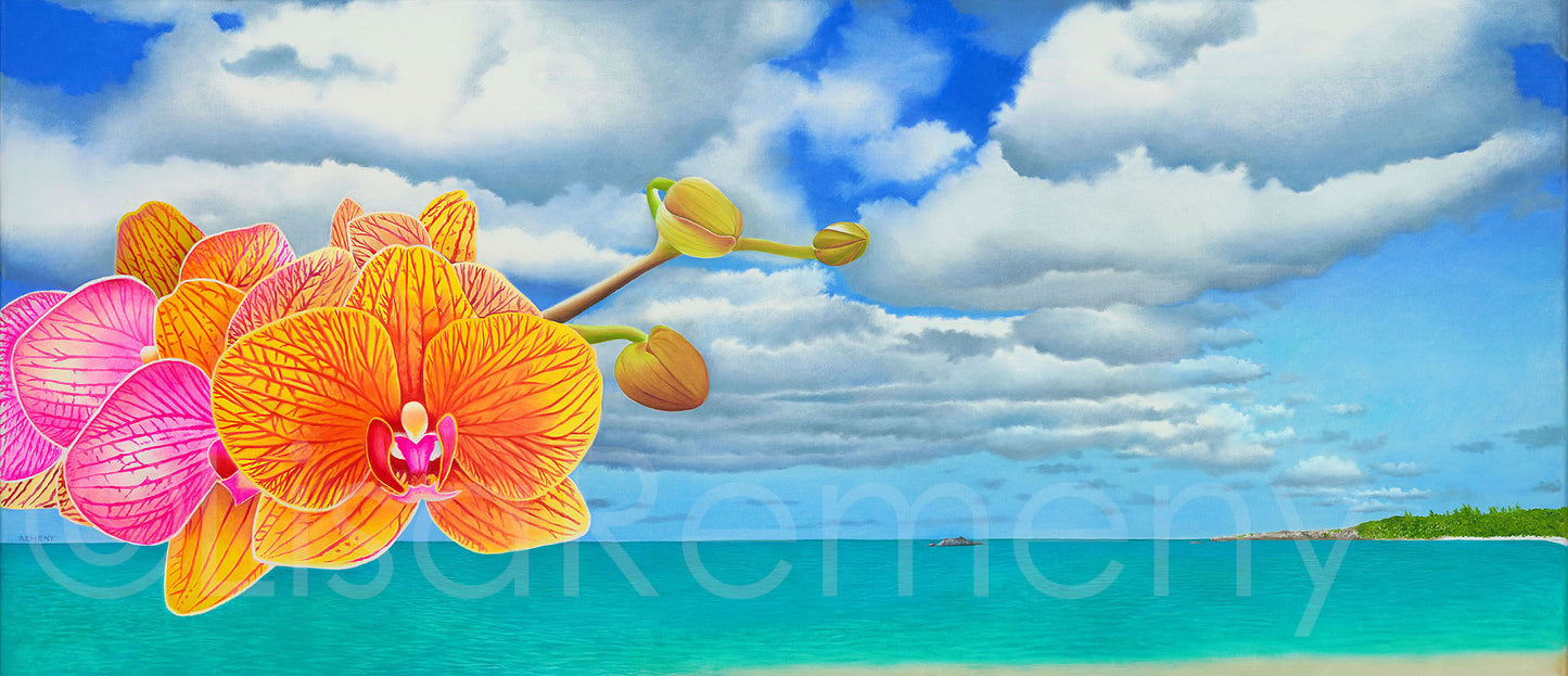 Commission 2021 Oil Painting - Phaleonopsis by the Bay