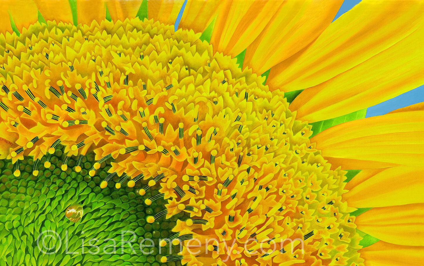 Giclée - A Bee's-Eye View