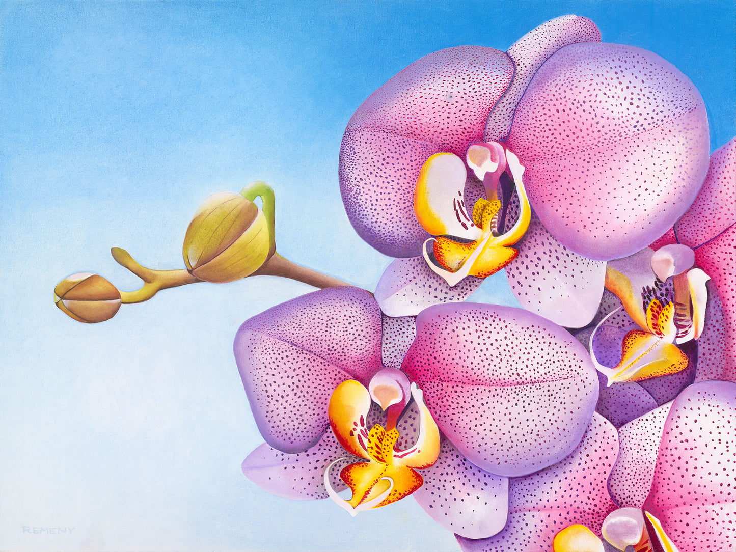 Commission 2020 Oil Painting - Speckled Phaleonopsis