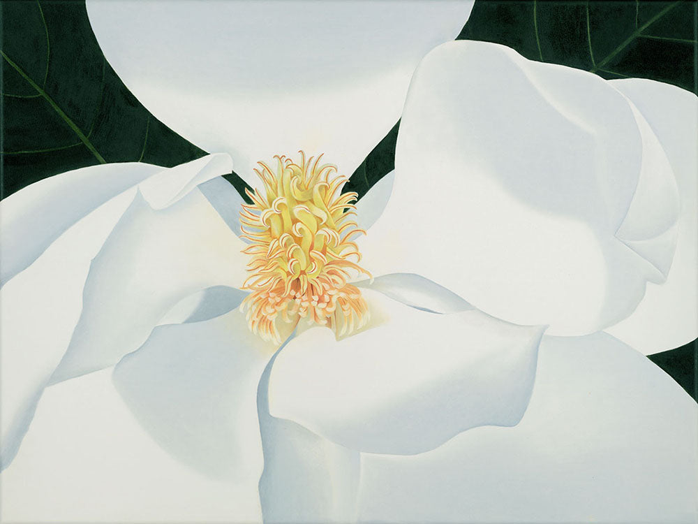Giclée - Sugar Magnolia