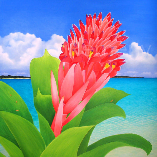 Commission 2004 Oil Painting - Summer Torch