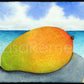 Watercolor - Beached Mango