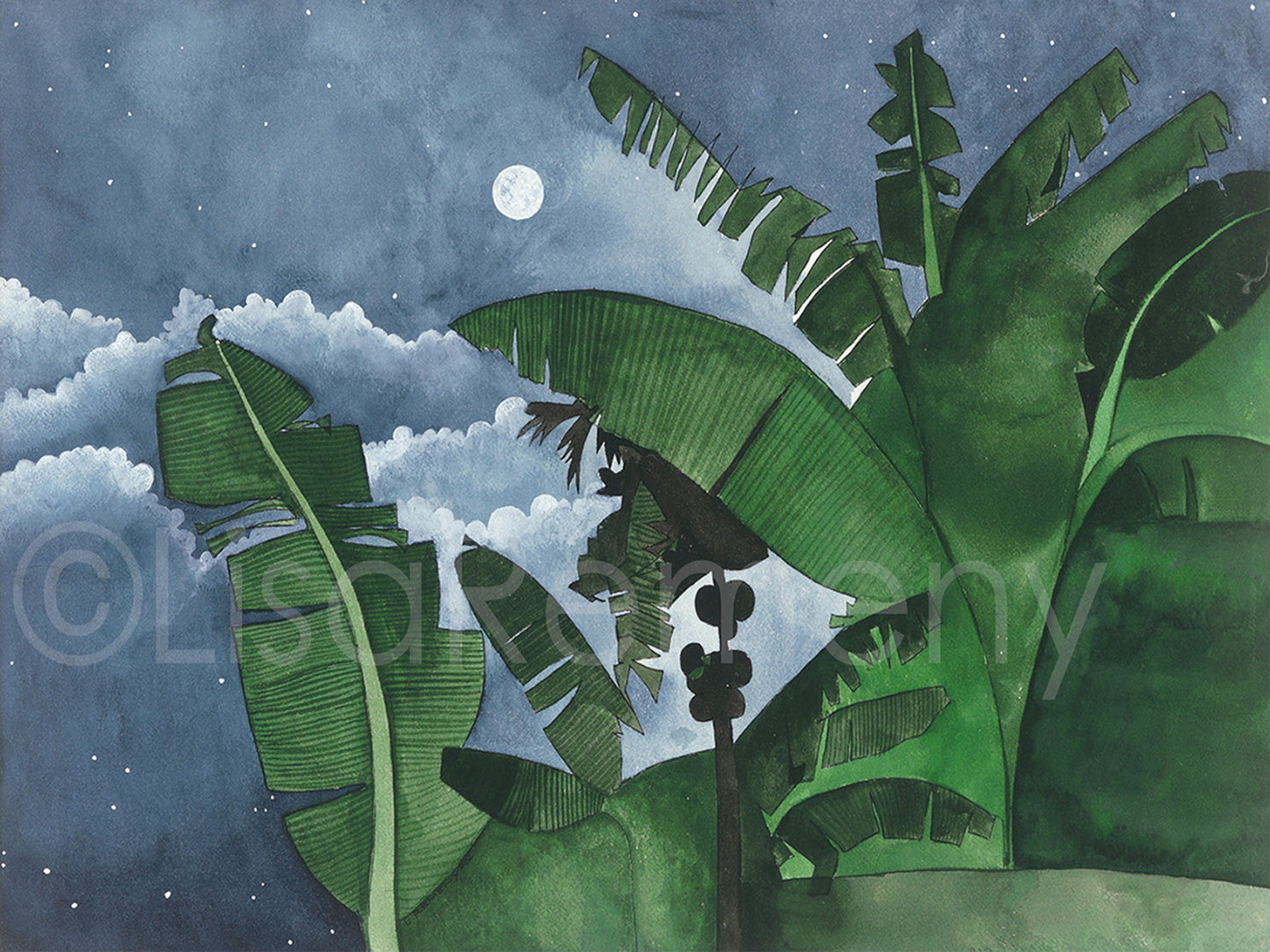 Giclée - Moon Through the Paw Paw