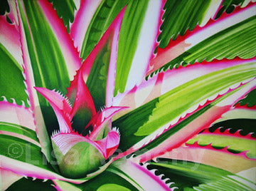 Giclée - Red Pine