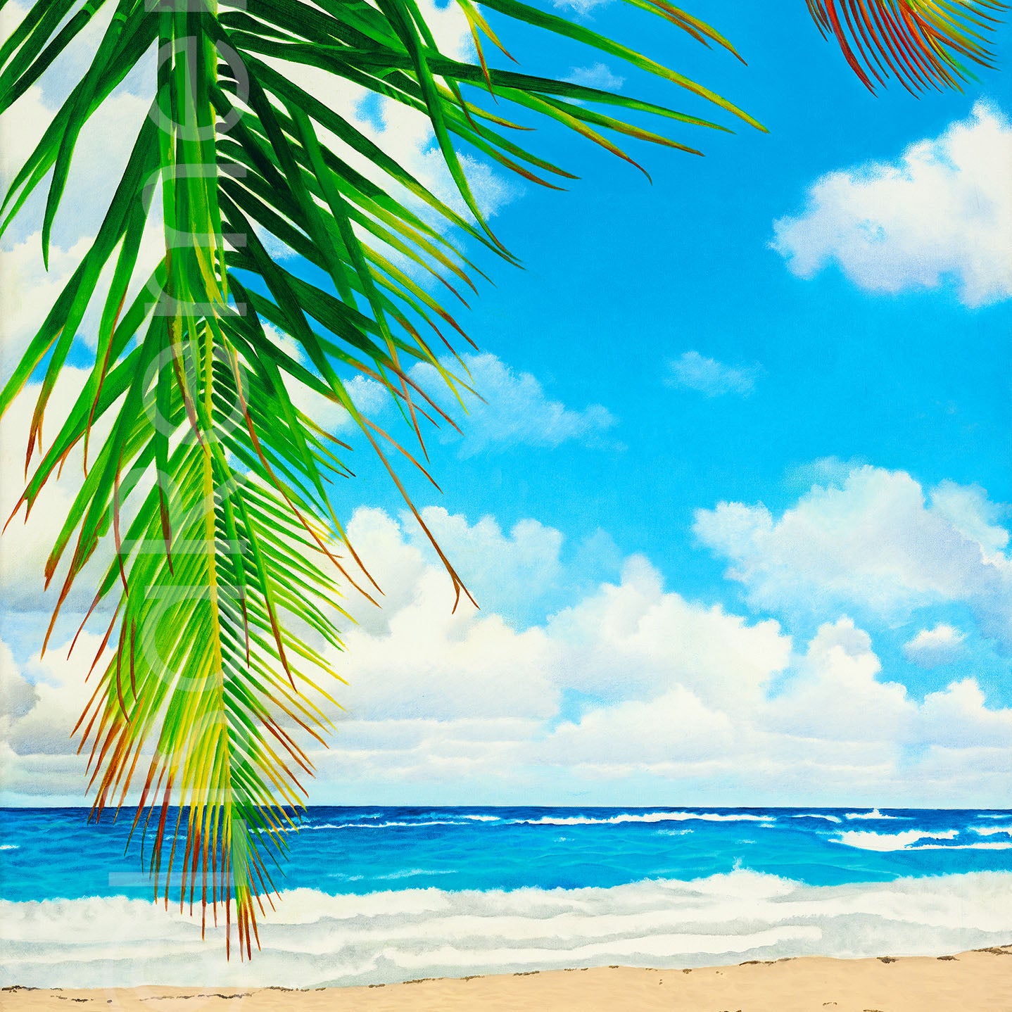 Giclée - Palm Fronds