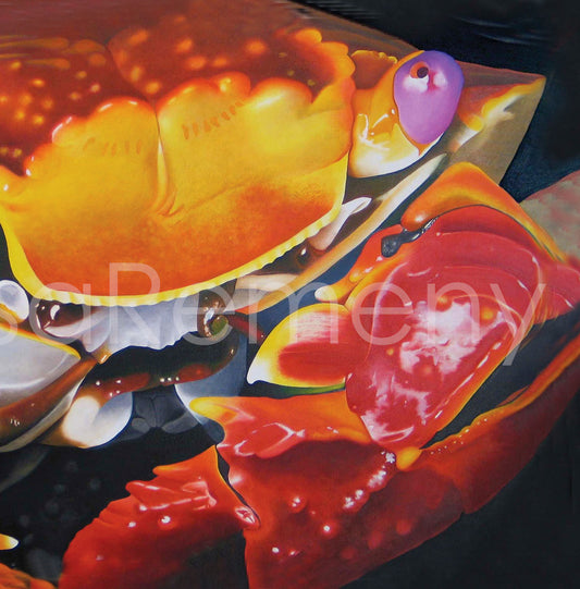 Giclée - Here's Looking at You, Kid (Sally Lightfoot Crab)