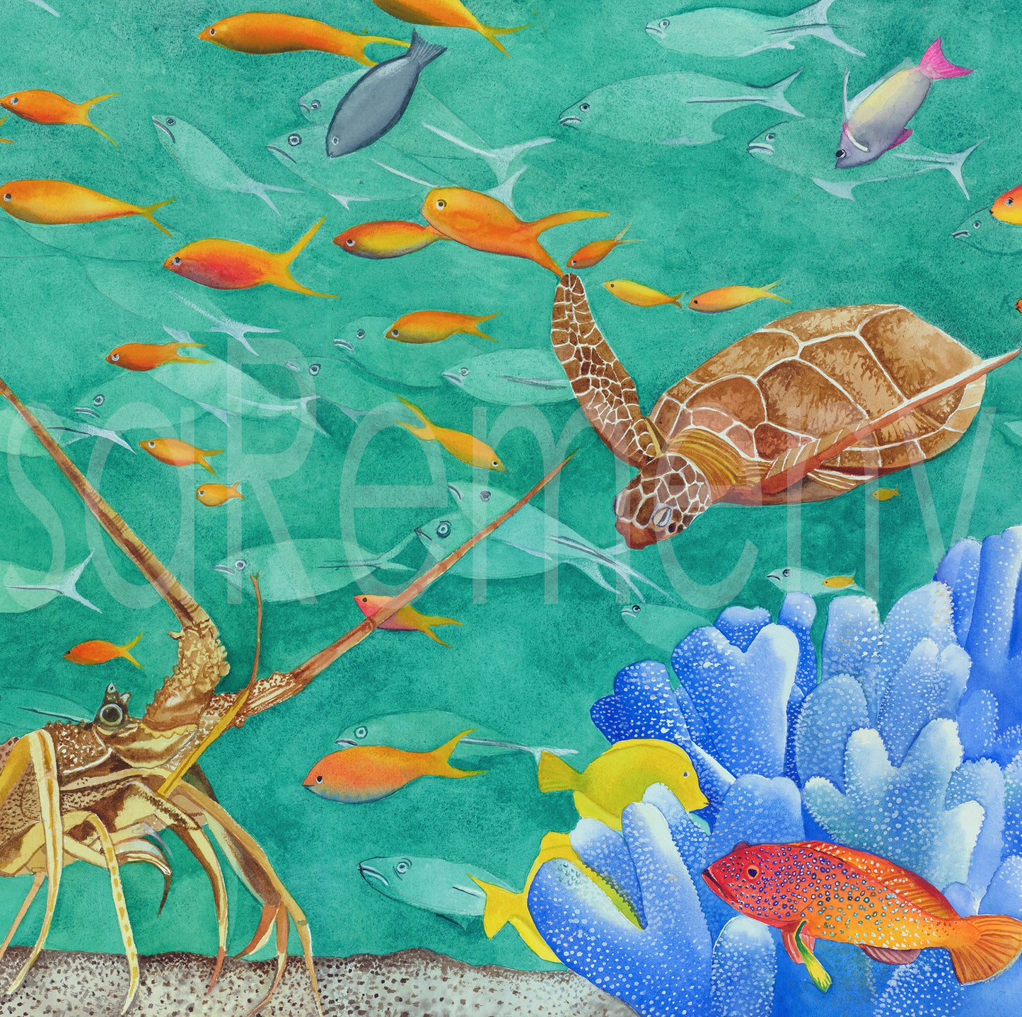 Giclée - Undersea Fantasy