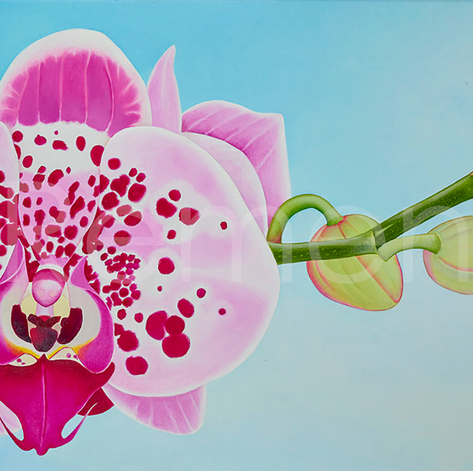 Commission 2019 Oil Painting - Orchid in the Morning