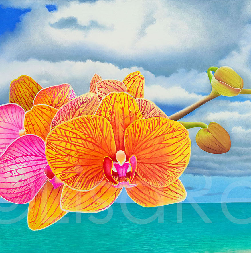 Giclée - Phaleanopsis on the Bay
