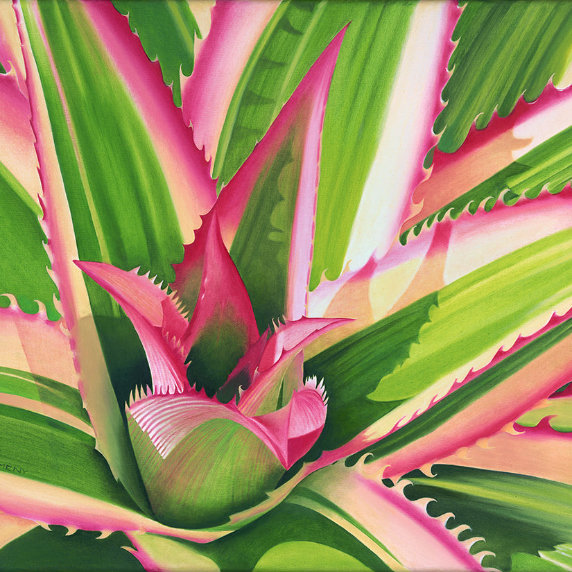 Giclée - Red Pine