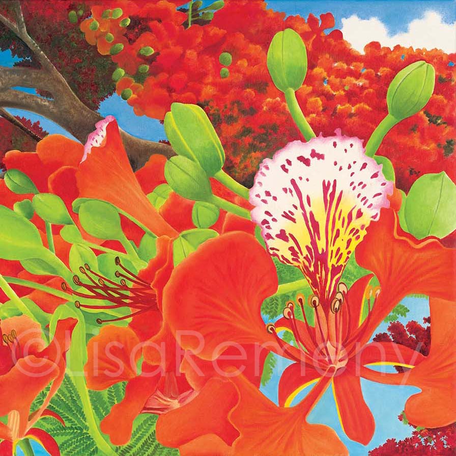 Giclée - Under the Flamboyant