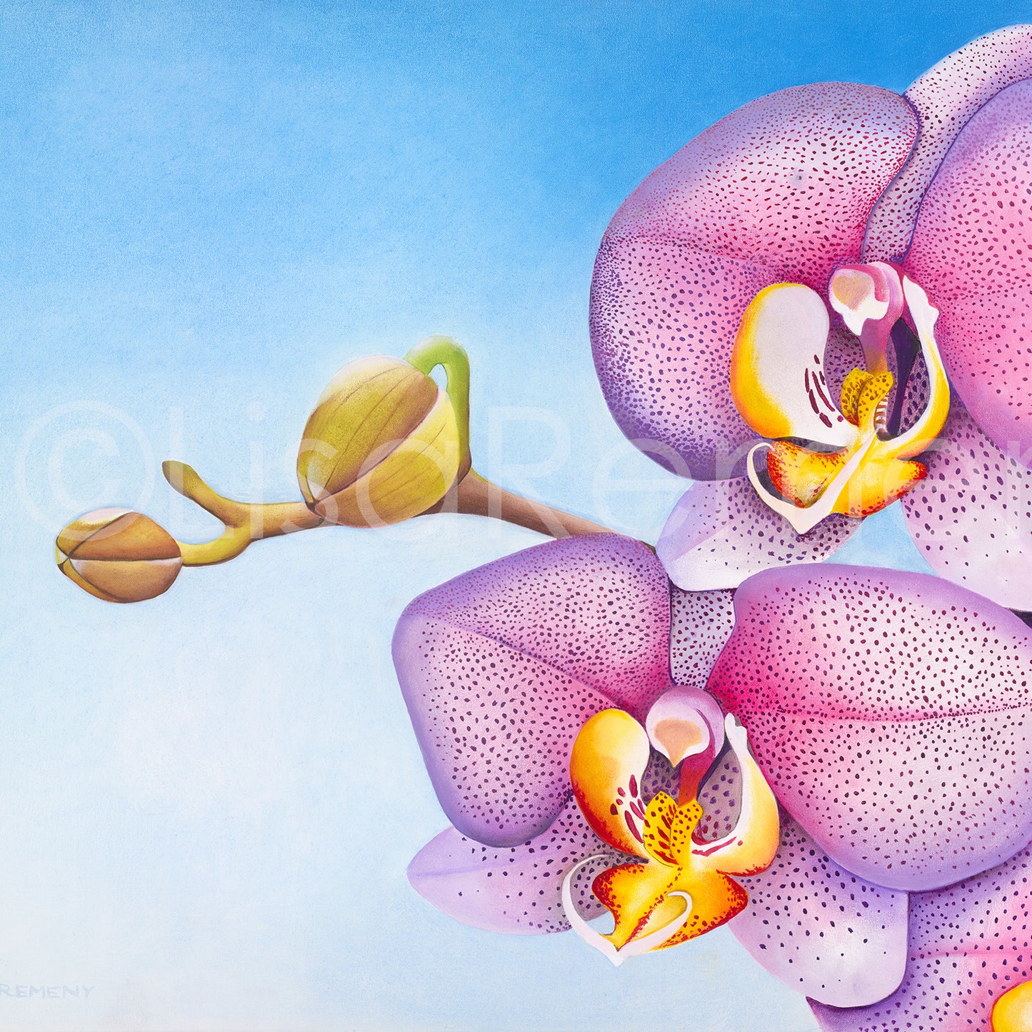 Commission 2020 Oil Painting - Speckled Phaleonopsis