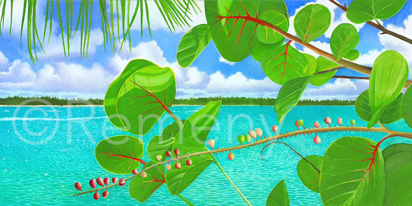Commission 2026 Oil Painting - Seagrapes By the Creek