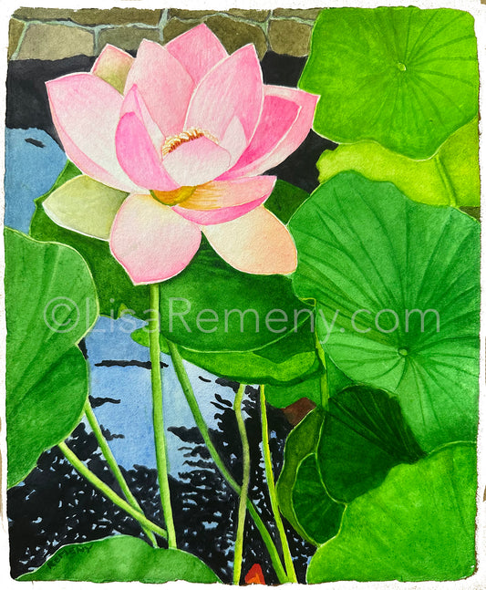Watercolor on Paper - Lotus Pond