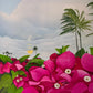 Commission 2026 Oil Painting - Moonset over Kauai