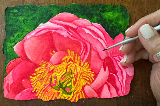 Watercolor on Paper - Coral Charm Peony