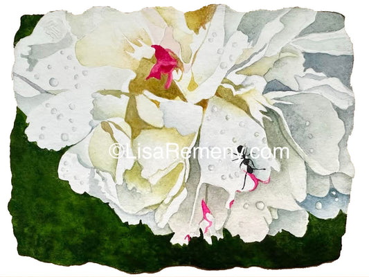 Watercolor on Paper - Festivus Maximus