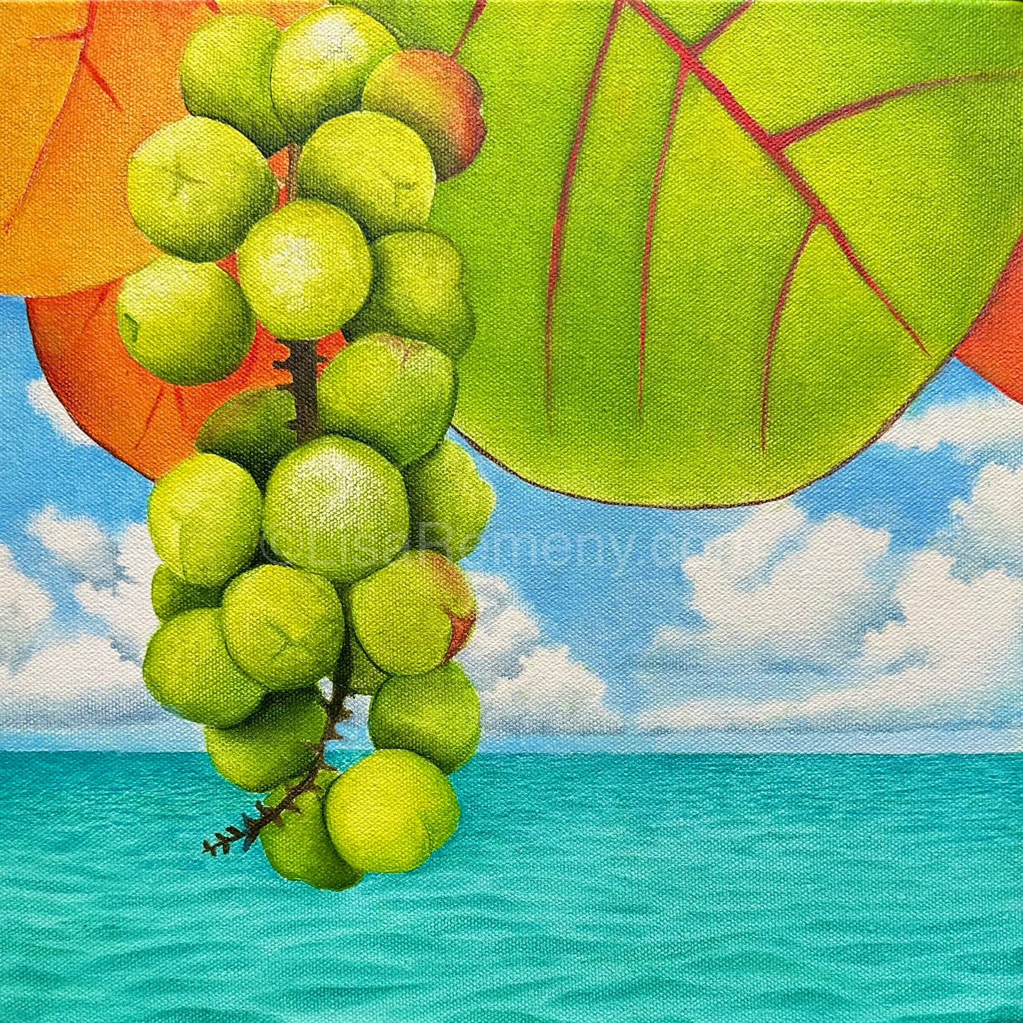 Oil Painting - Seagrapes