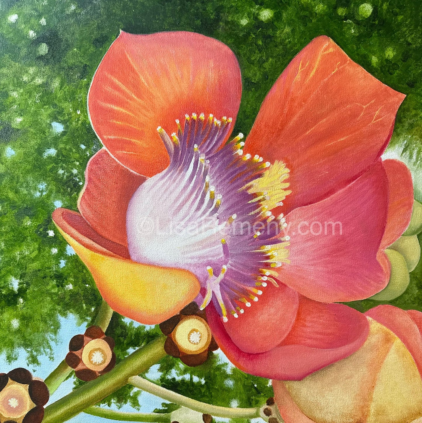 Archive Oil Paintings - Cannon Ball #1 and #2