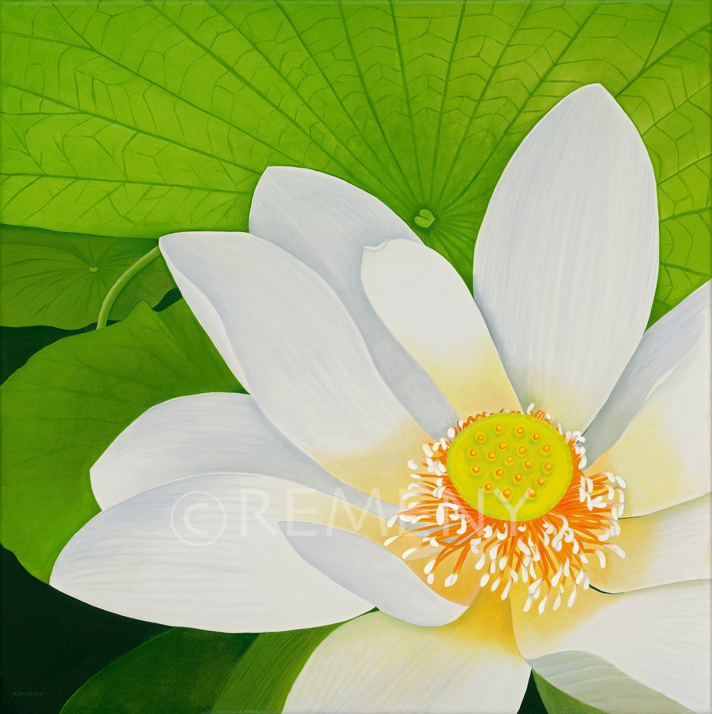 Giclée - White Lotus Again