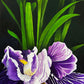 Commission 2024-25 Oil Painting - Betsy's Iris