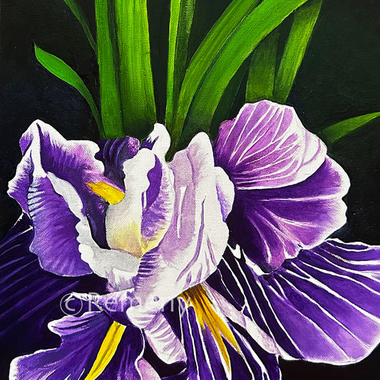 Commission 2024-25 Oil Painting - Betsy's Iris