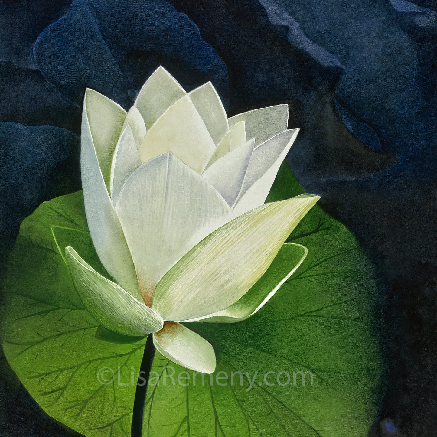 Oil Painting - White Lotus at The Kampong