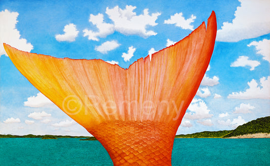 Giclée - Catch of the Day