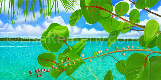 Giclée - Seagrapes on the Creek