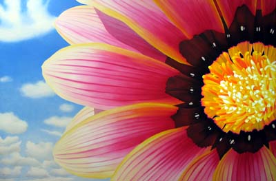 Commission 2005 Oil Painting - Another Gazania