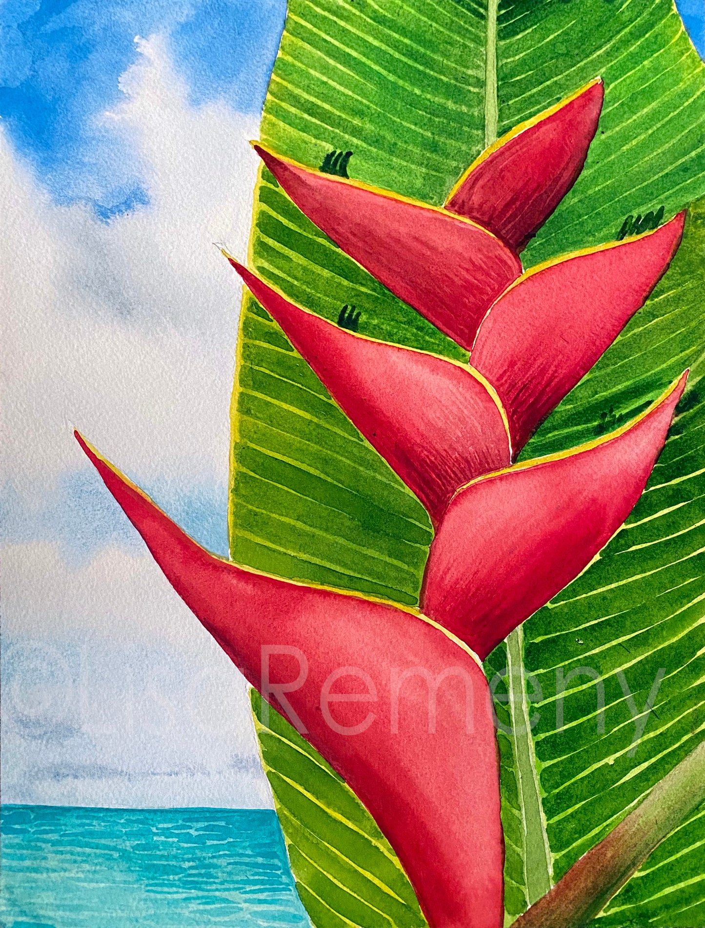Watercolor on Paper - heliconia by the sea