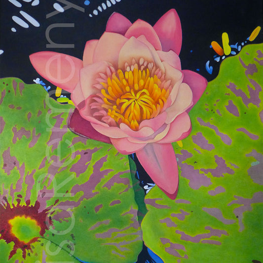 Archive Oil Painting - Coral Nymphaea