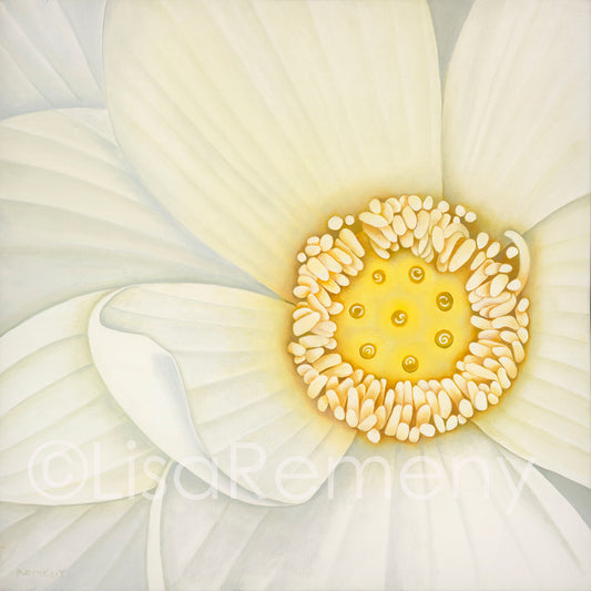 Giclée - White Lotus