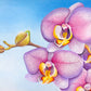 Commission 2020 Oil Painting - Speckled Phaleonopsis