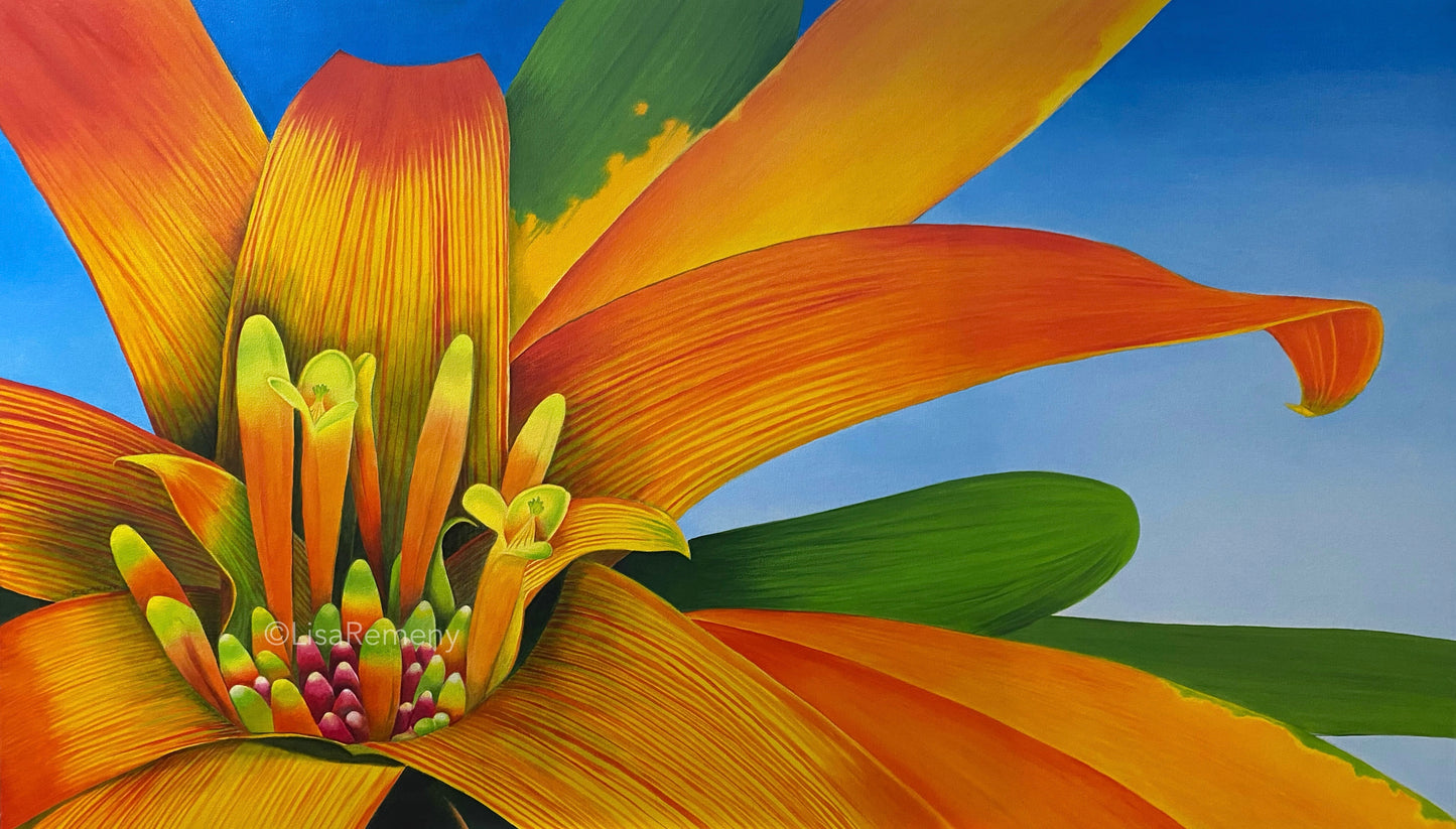 Archive Oil Painting - Another Orange Bromeliad