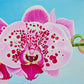 Commission 2019 Oil Painting - Orchid in the Morning