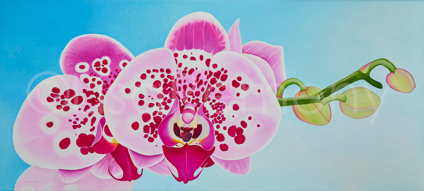 Commission 2019 Oil Painting - Orchid in the Morning