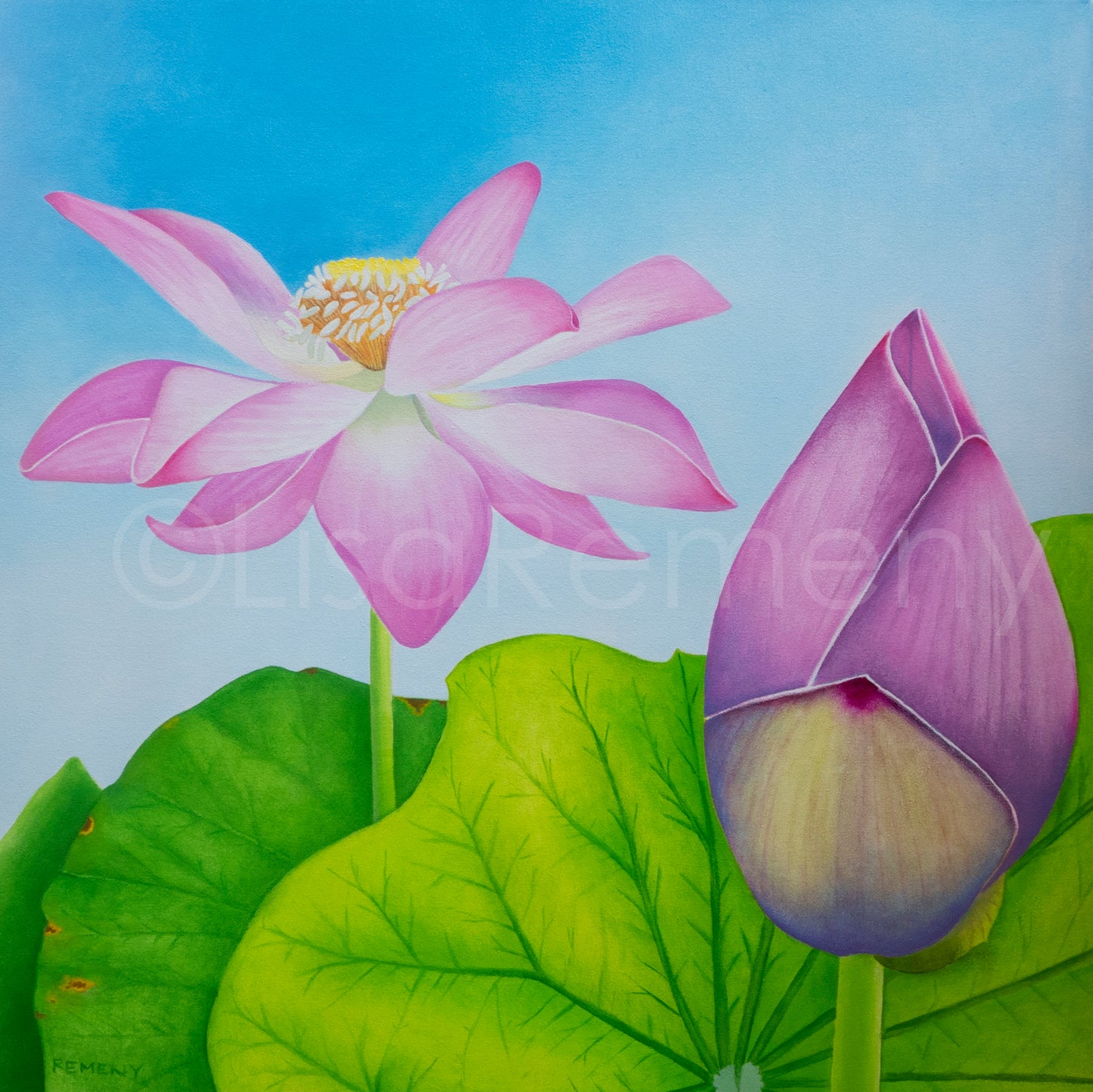 Commission 2019 Oil Painting - Bali Lotus