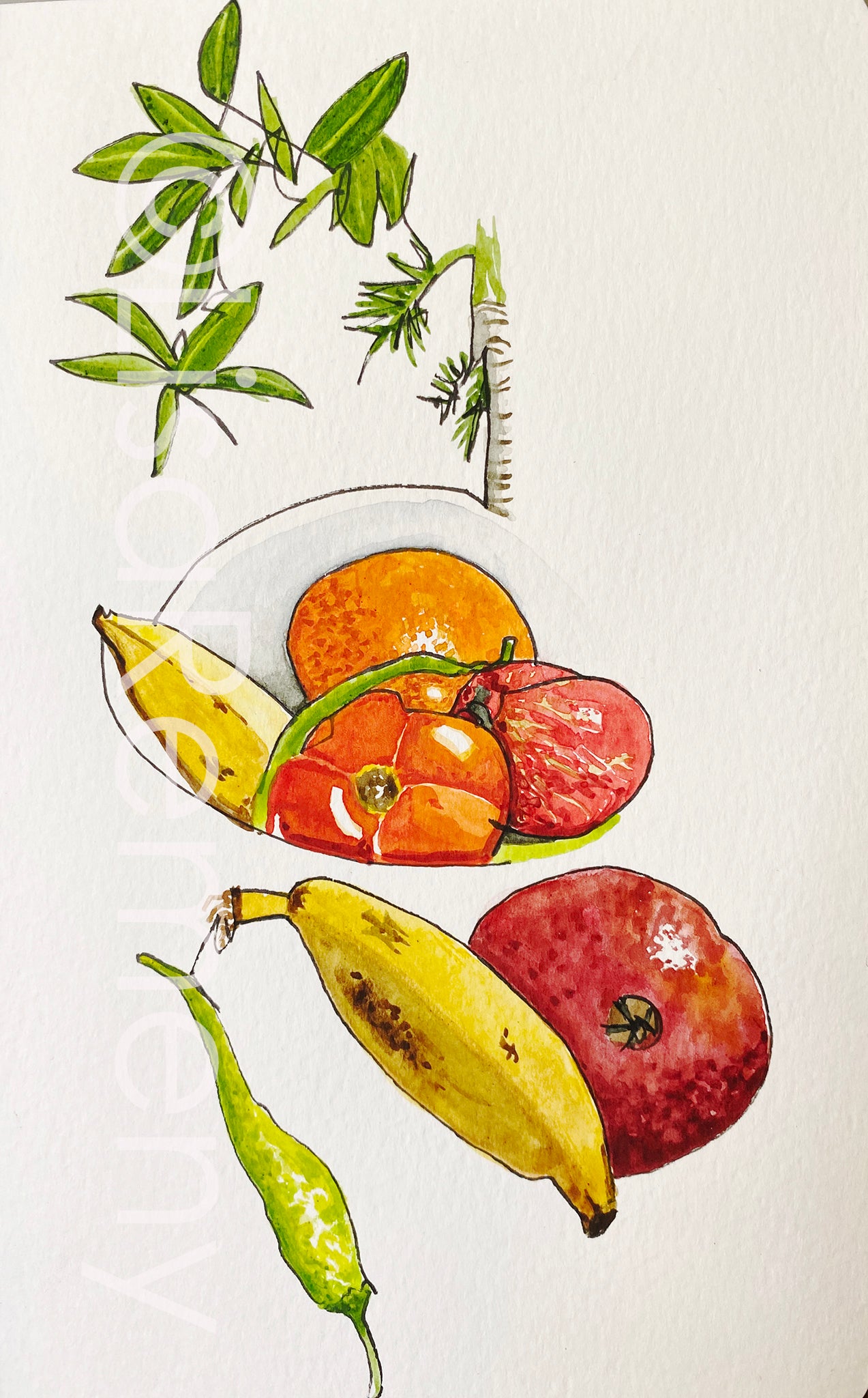 Watercolor + Ink on Paper - Still Life in India