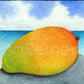 Watercolor - Beached Mango